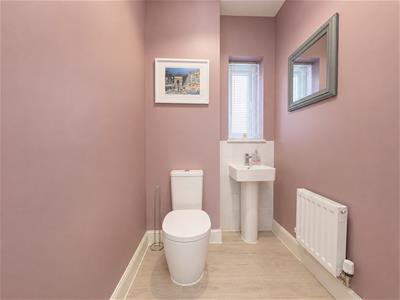 Picture 12